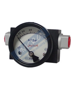 differential pressure switch supplier in pune